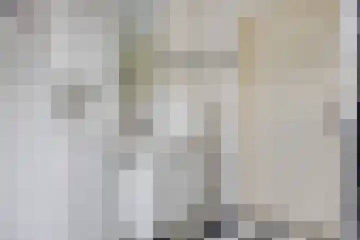 Geuzenstraat 2 Biervliet thumbnail 15