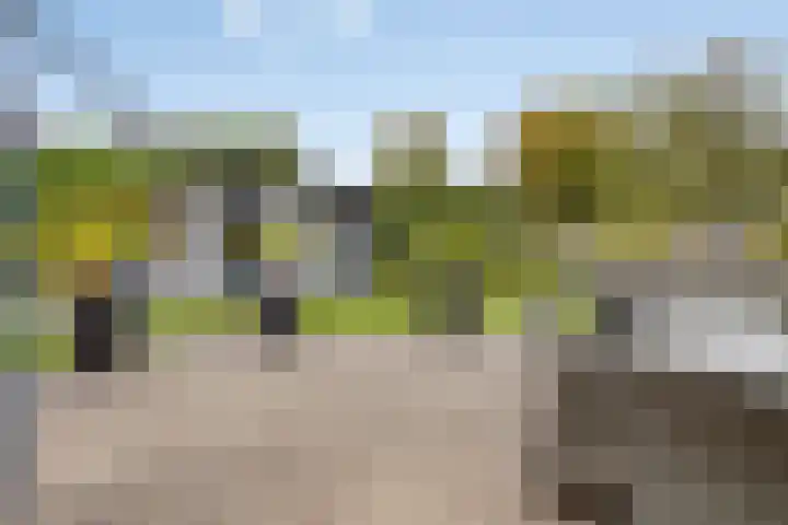 Geuzenstraat 2 Biervliet thumbnail 21