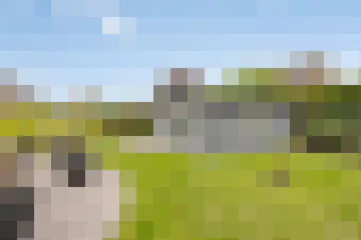 Geuzenstraat 2 Biervliet thumbnail 23