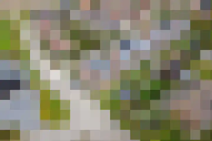 Geuzenstraat 2 Biervliet thumbnail 26