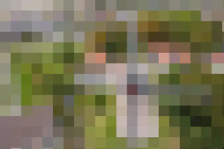 Geuzenstraat 2 Biervliet thumbnail 29