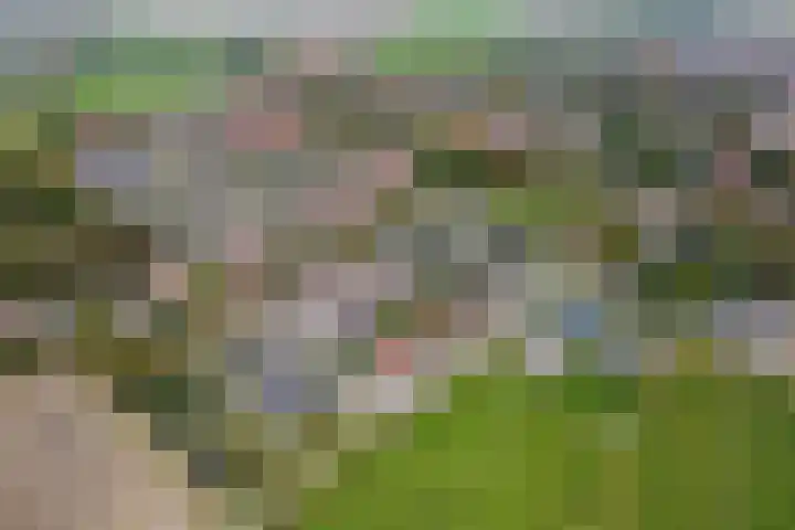 Geuzenstraat 2 Biervliet thumbnail 30