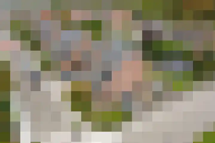 Geuzenstraat 2 Biervliet thumbnail 31