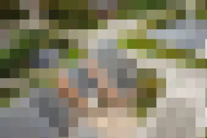 Geuzenstraat 2 Biervliet thumbnail 32
