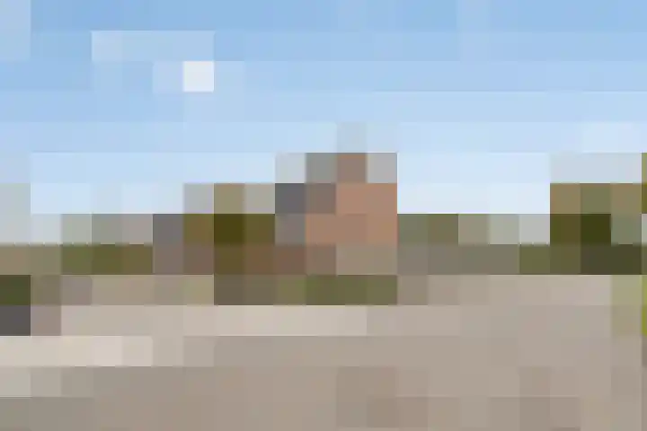 Geuzenstraat 2 Biervliet thumbnail 33