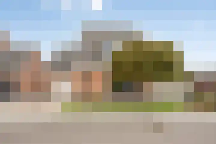 Geuzenstraat 2 Biervliet thumbnail 34