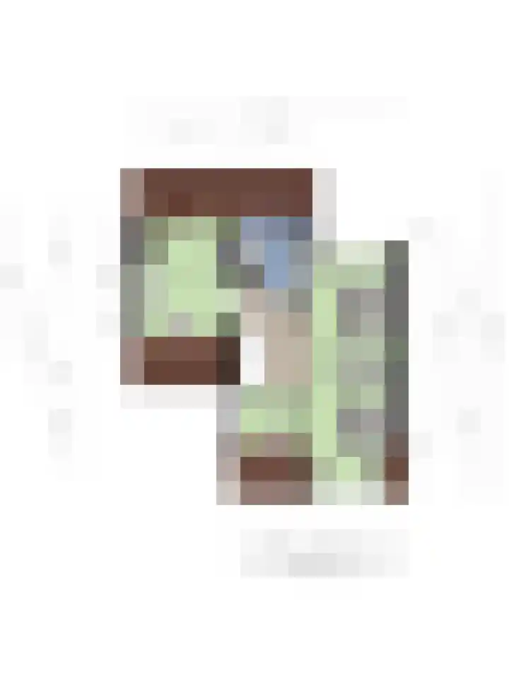 Geuzenstraat 2 Biervliet thumbnail 36