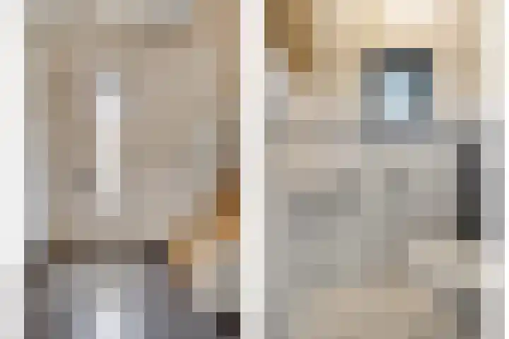 Geuzenstraat 2 Biervliet thumbnail 4