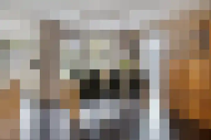 Geuzenstraat 2 Biervliet thumbnail 7
