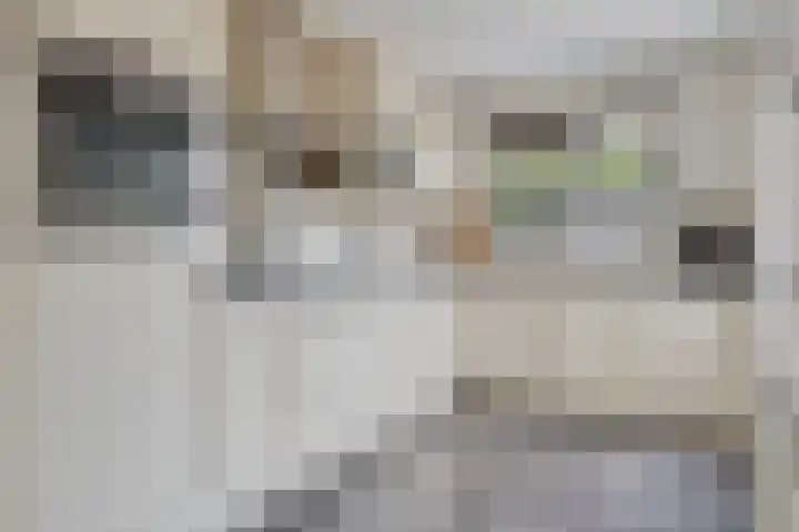 Geuzenstraat 2 Biervliet thumbnail 9