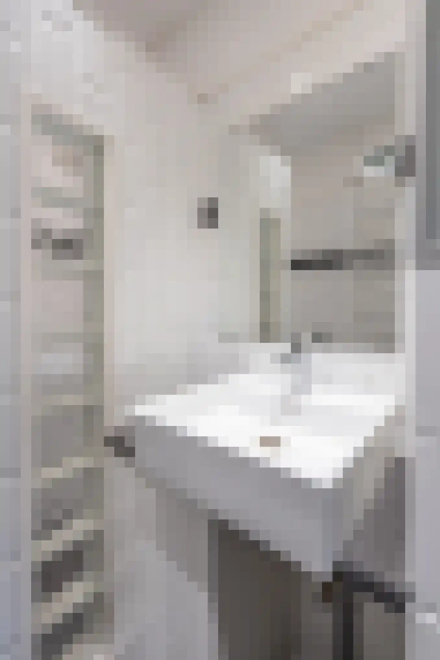 Geuzenstraat 25 1 Amsterdam thumbnail 16