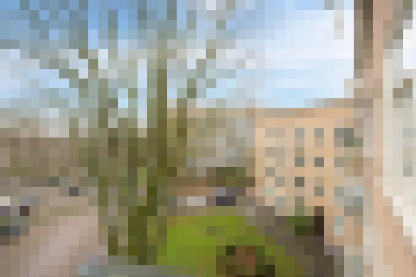 Geuzenstraat 25 H Amsterdam thumbnail 19