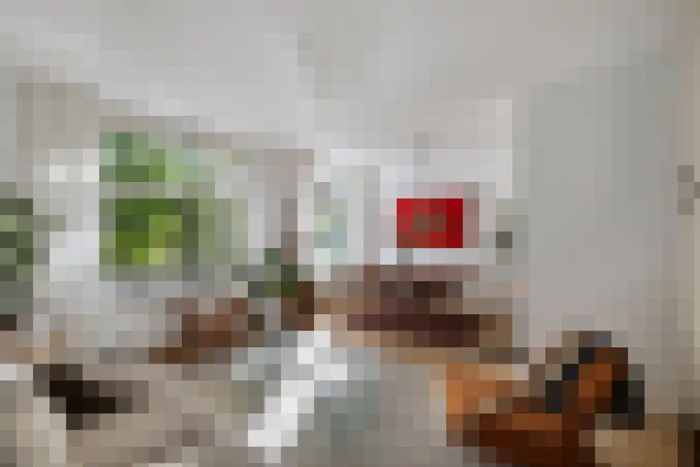Geuzenstraat 31 2 Amsterdam thumbnail 11