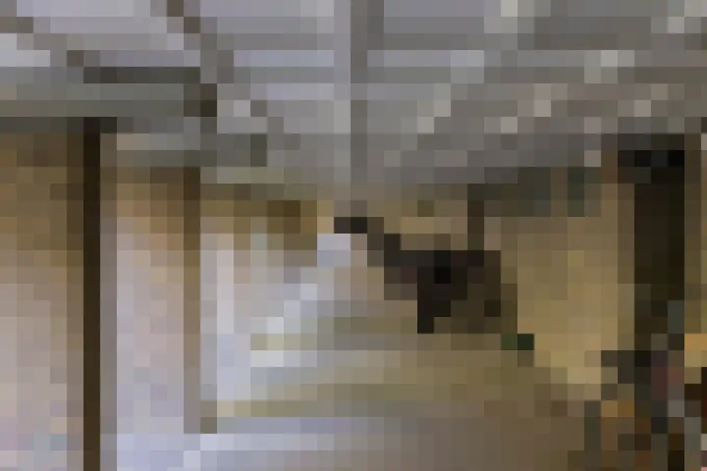Geuzenstraat 31 2 Amsterdam thumbnail 28