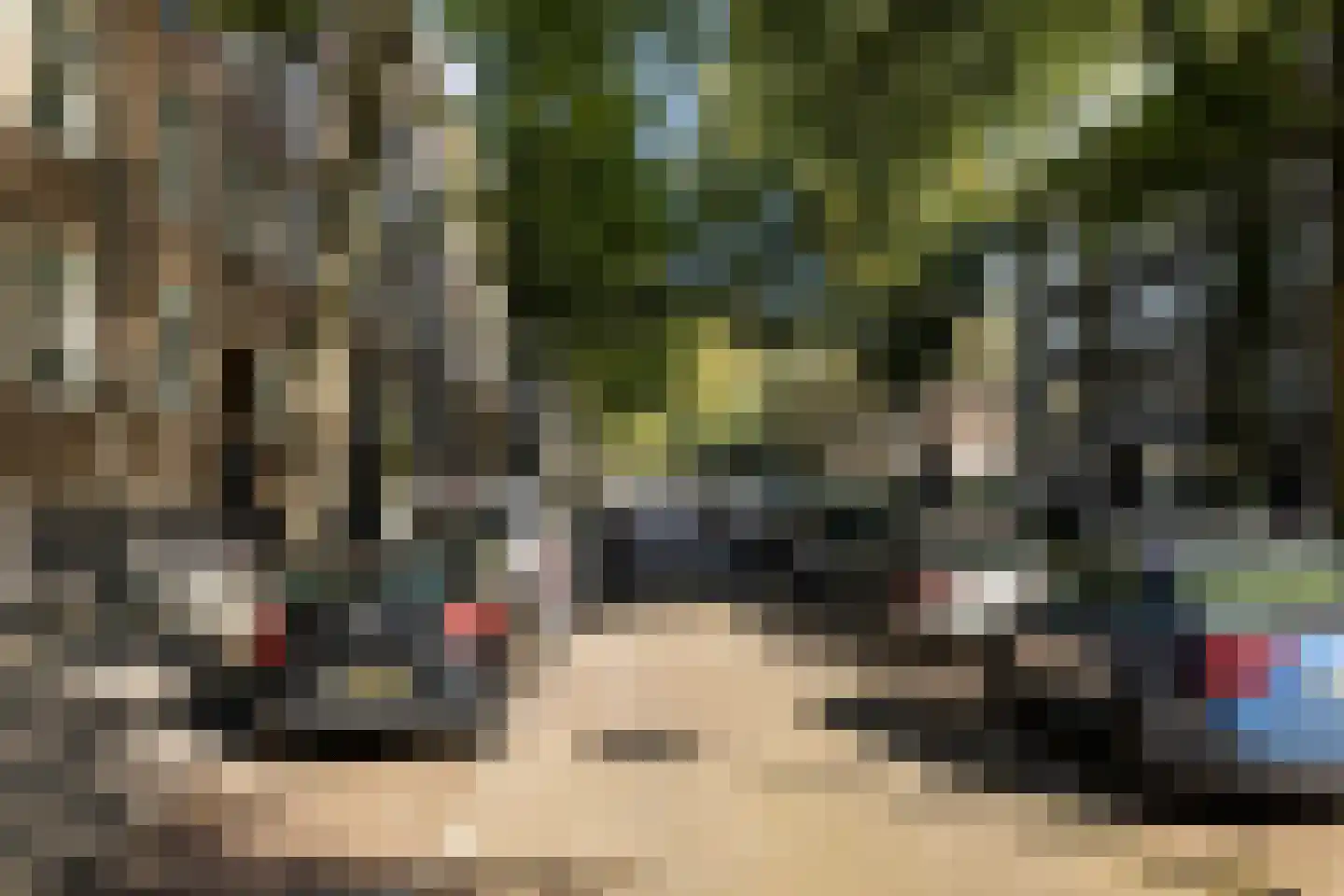 Geuzenstraat 31 2 Amsterdam thumbnail 32