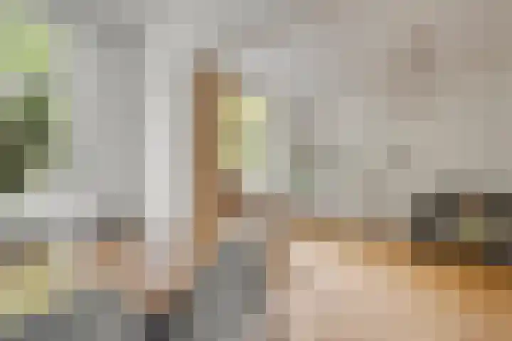 Geuzenstraat 31 3 Amsterdam thumbnail 12