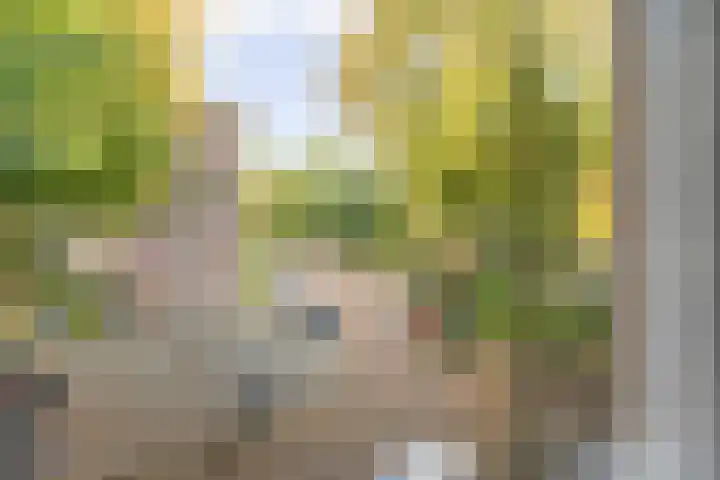 Geuzenstraat 31 3 Amsterdam thumbnail 9