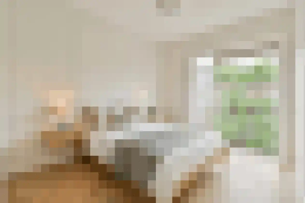 Geuzenstraat 35 2 Amsterdam thumbnail 17