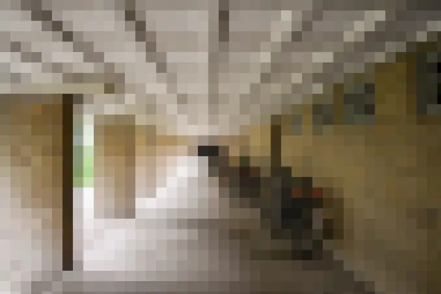 Geuzenstraat 35 2 Amsterdam thumbnail 24