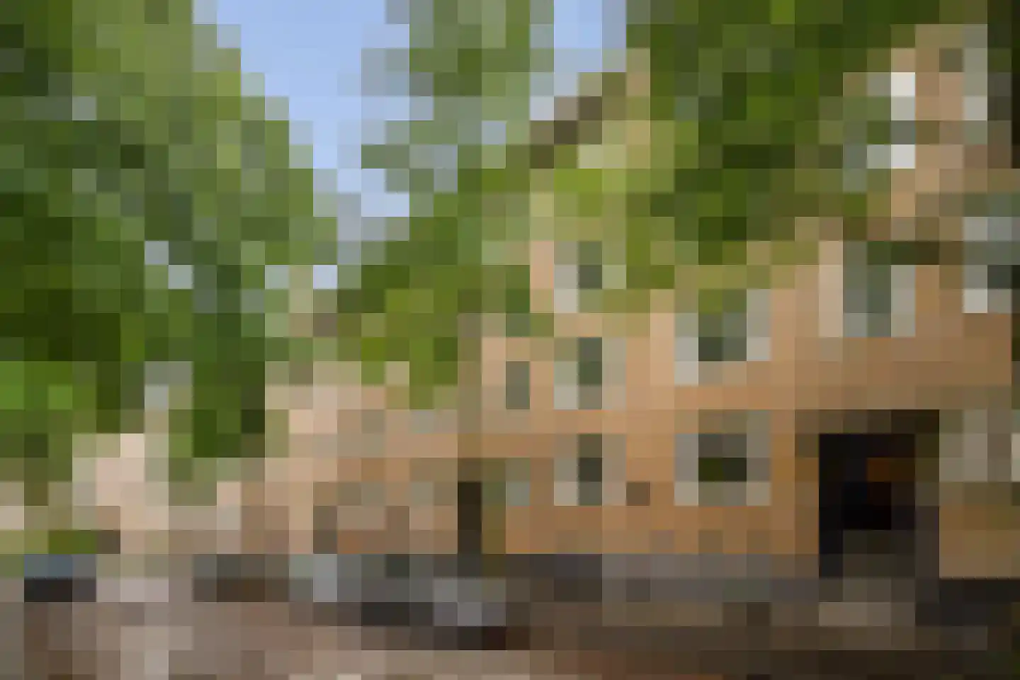 Geuzenstraat 35 2 Amsterdam thumbnail 27