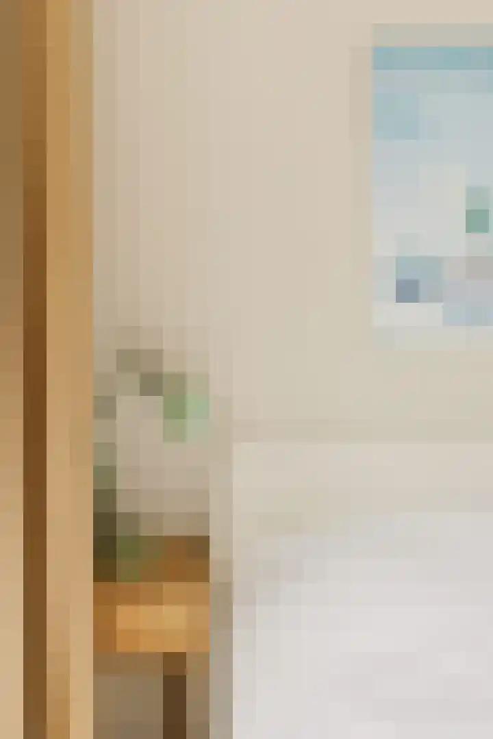 Geuzenstraat 37 1 Amsterdam thumbnail 19