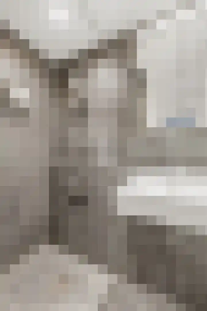 Geuzenstraat 37 1 Amsterdam thumbnail 21