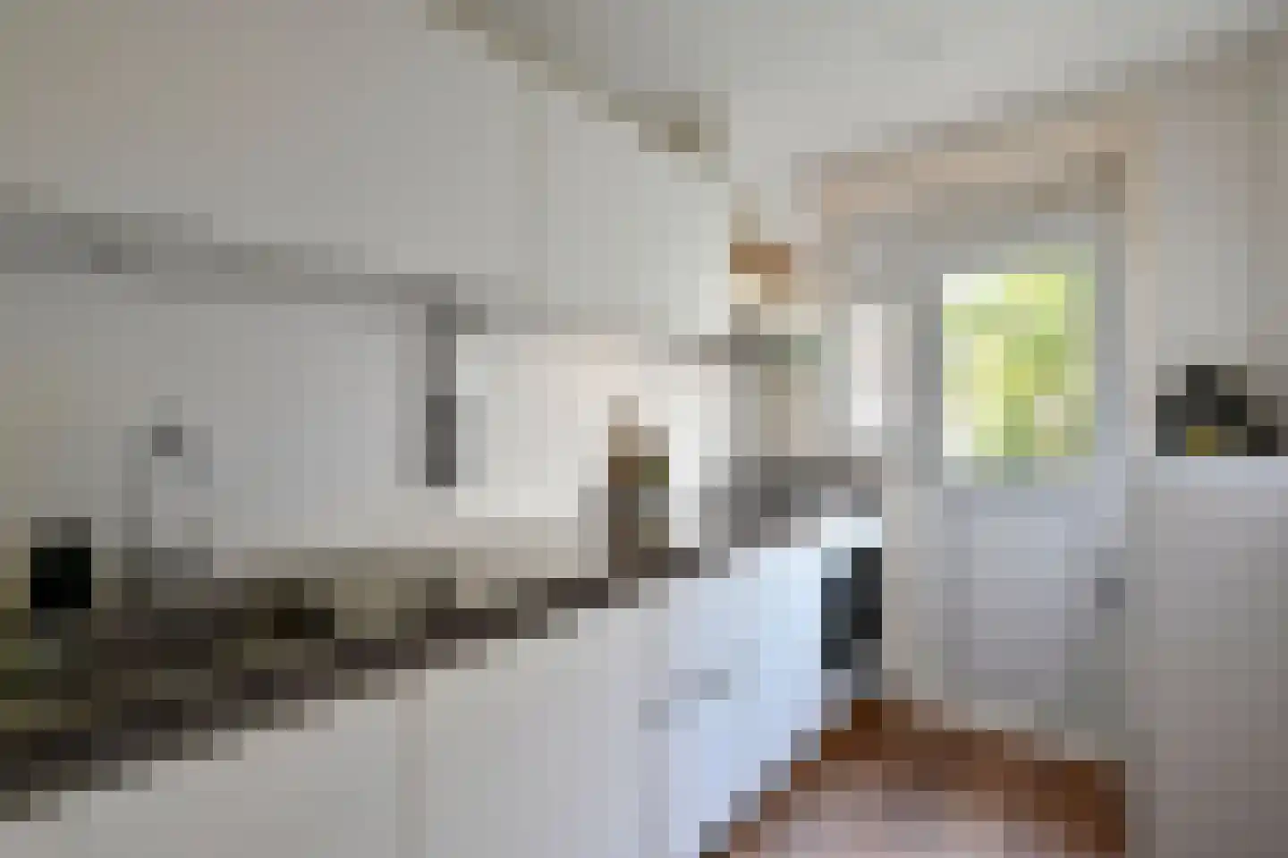 Geuzenstraat 41 1 Amsterdam thumbnail 14