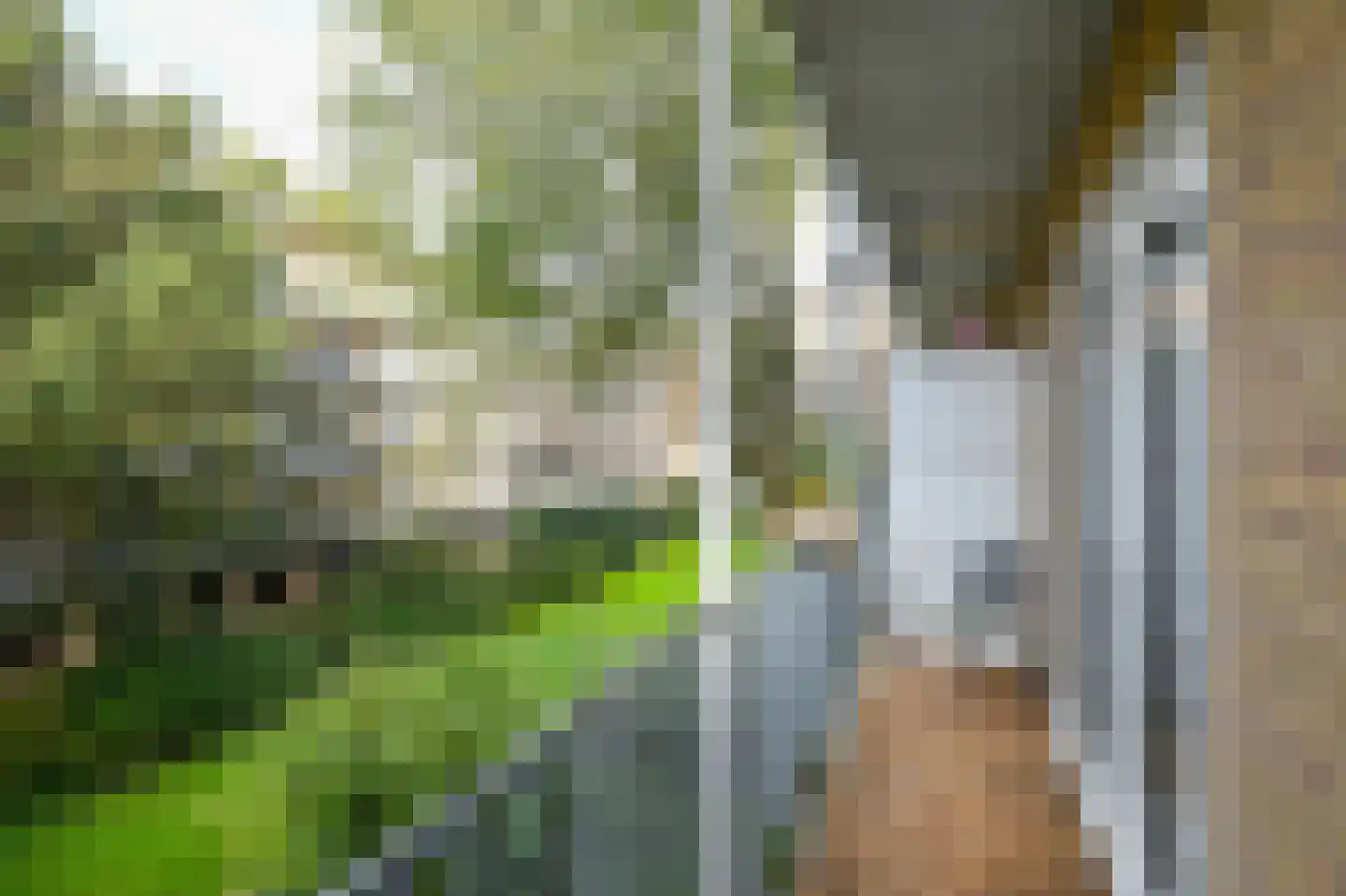 Geuzenstraat 41 1 Amsterdam thumbnail 4
