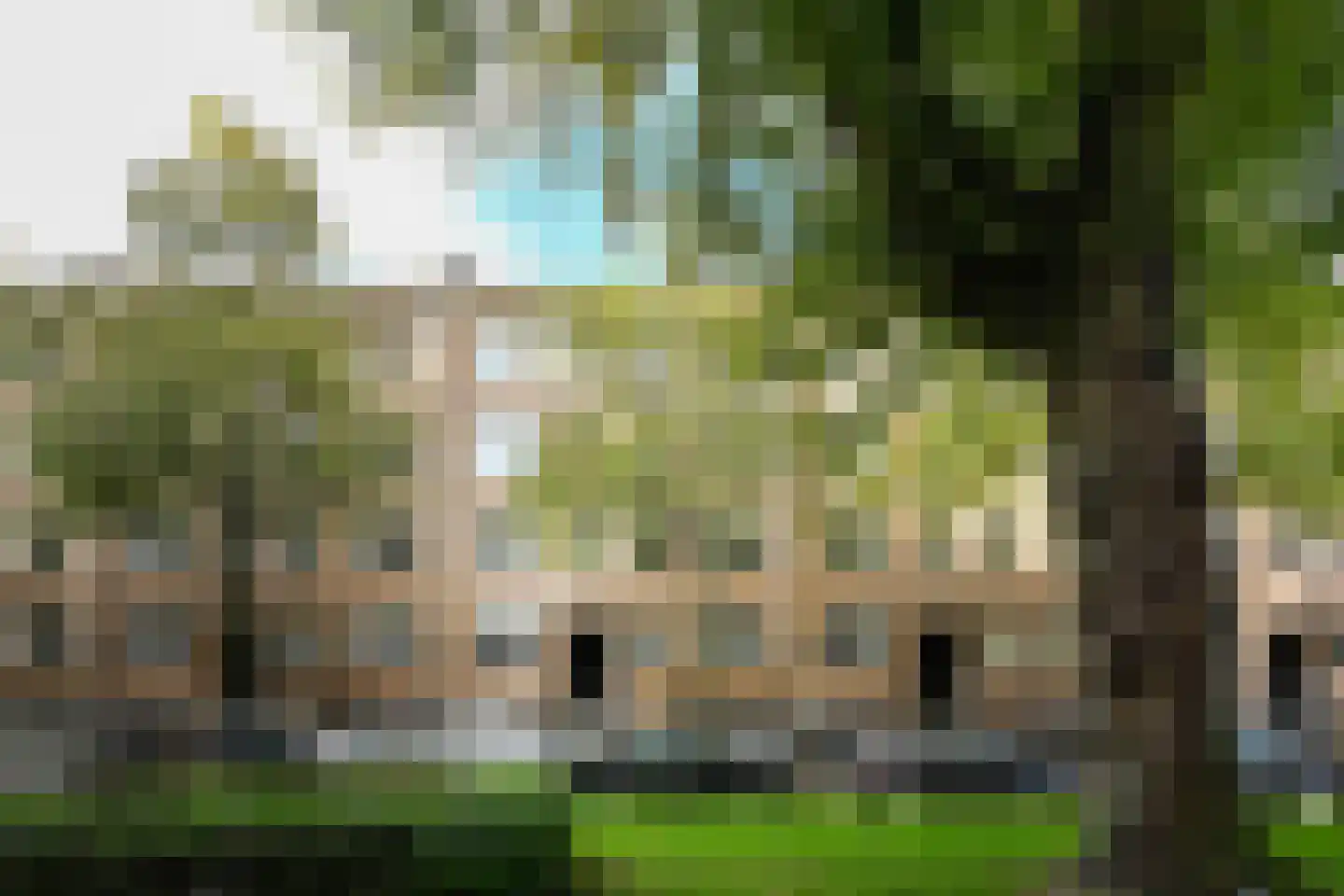 Geuzenstraat 41 1 Amsterdam thumbnail 5