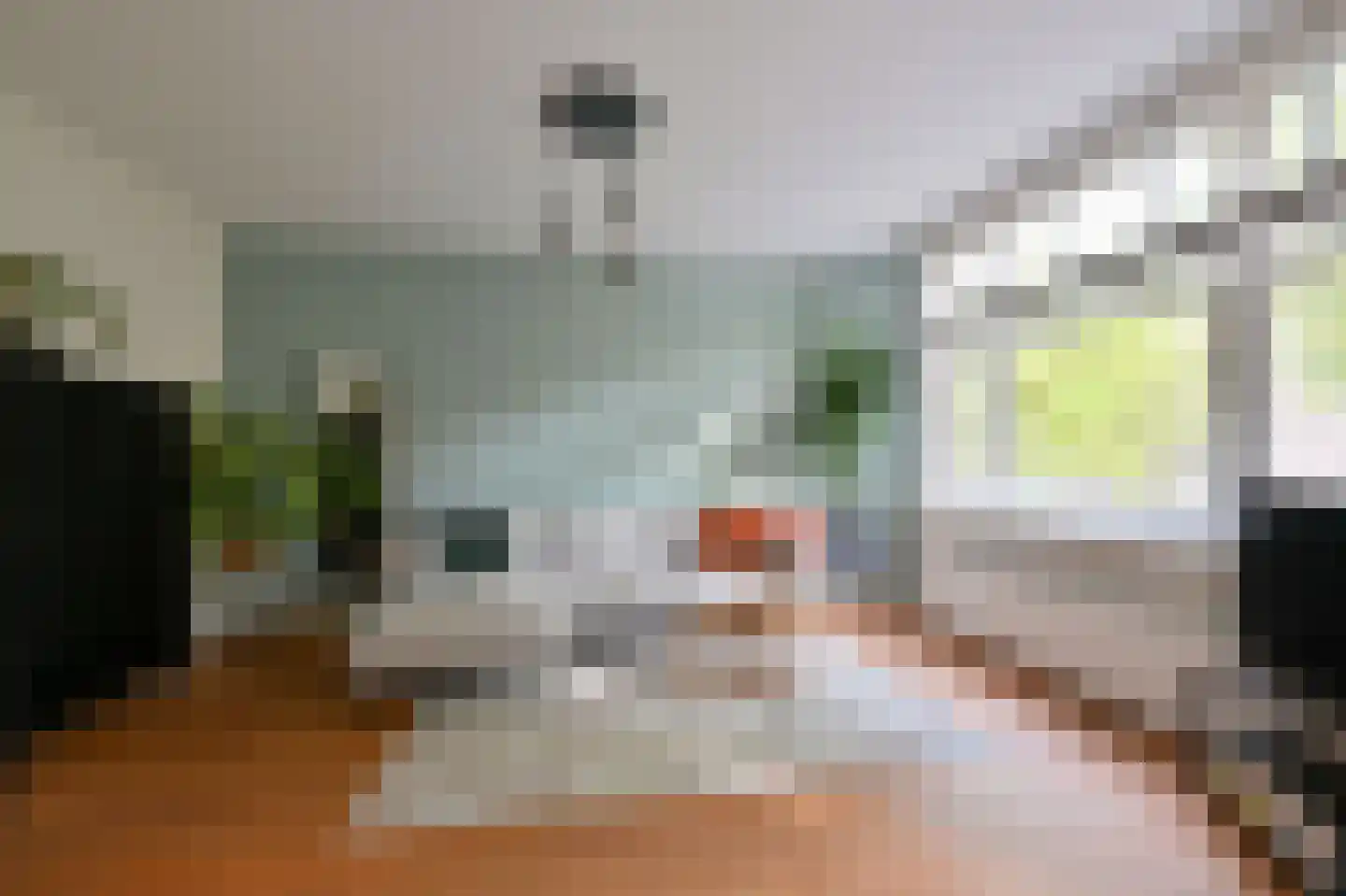 Geuzenstraat 41 1 Amsterdam thumbnail 7