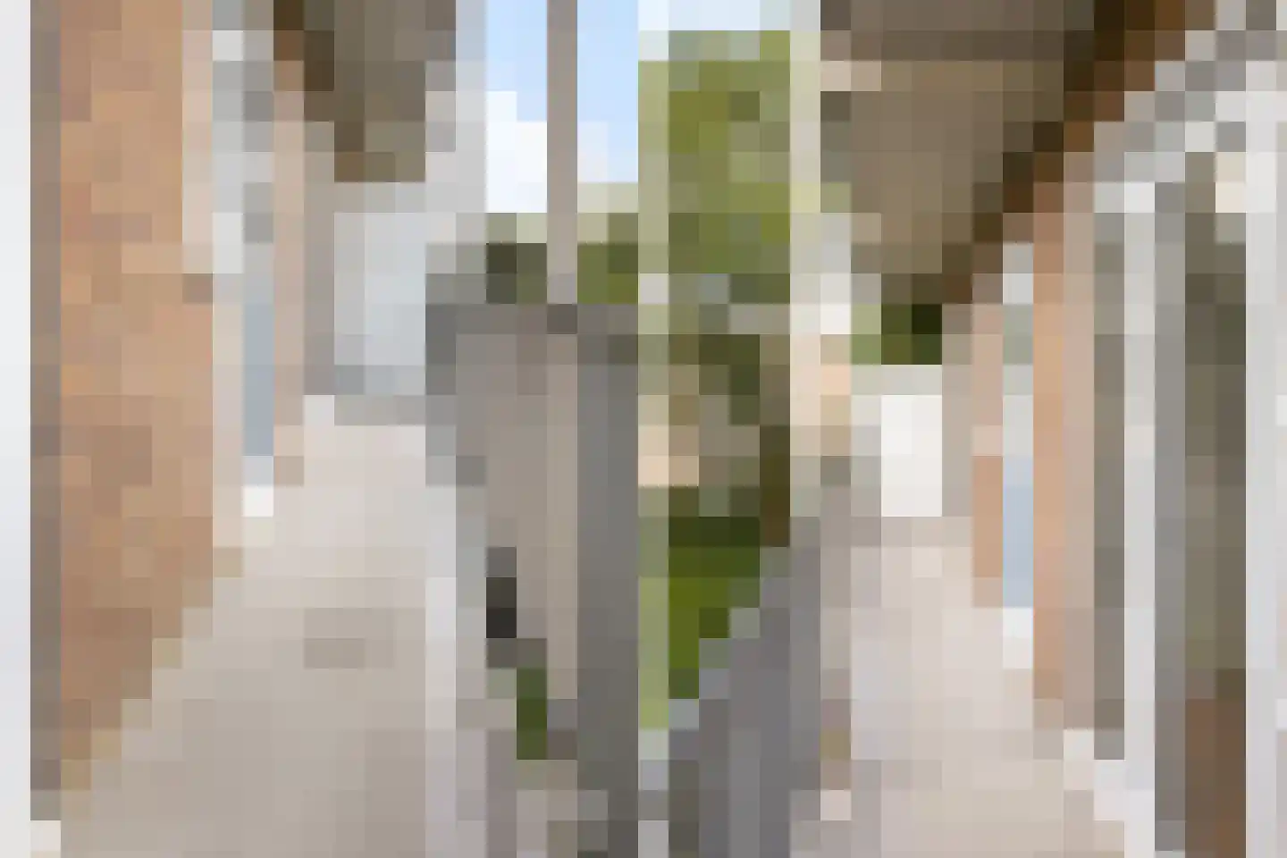 Geuzenstraat 41 2 Amsterdam thumbnail 23