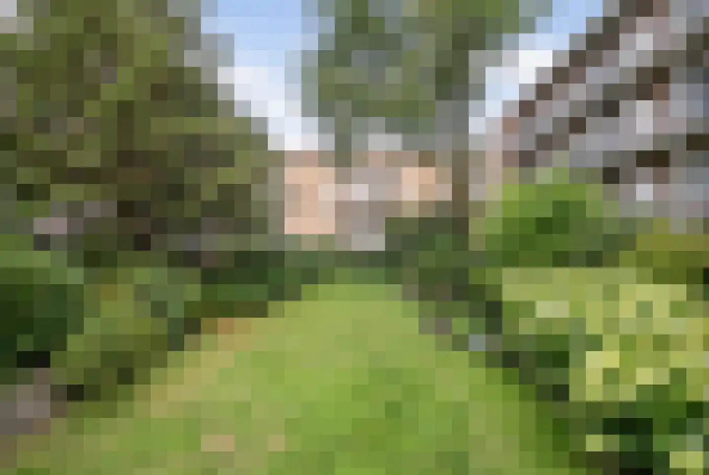 Geuzenstraat 41 2 Amsterdam thumbnail 27
