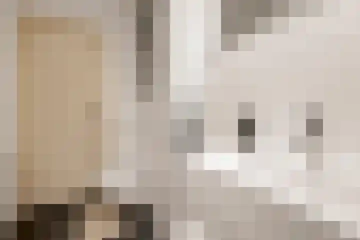 Geuzenstraat 41 H Amsterdam thumbnail 25