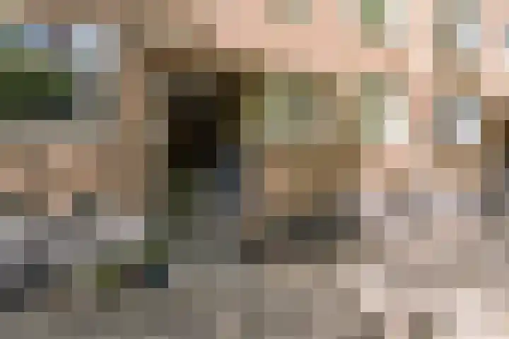 Geuzenstraat 41 H Amsterdam thumbnail 27