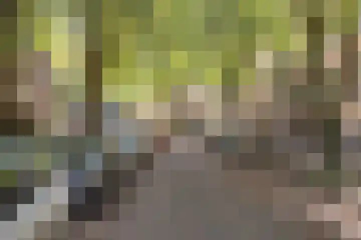 Geuzenstraat 41 H Amsterdam thumbnail 30
