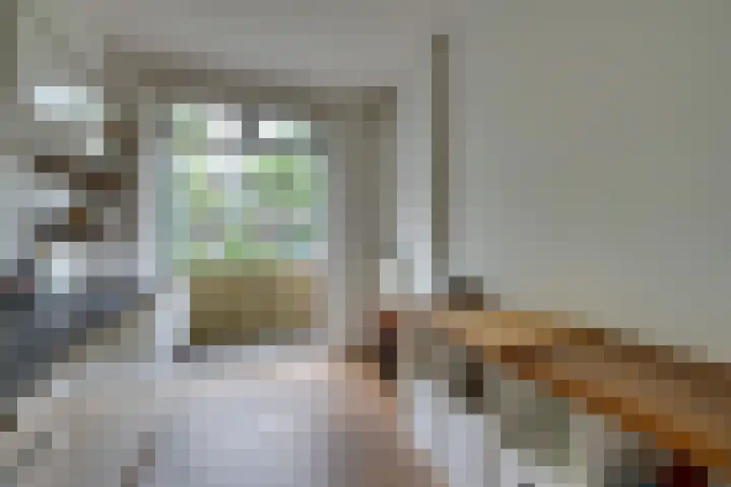 Geuzenstraat 42 2 Amsterdam thumbnail 17