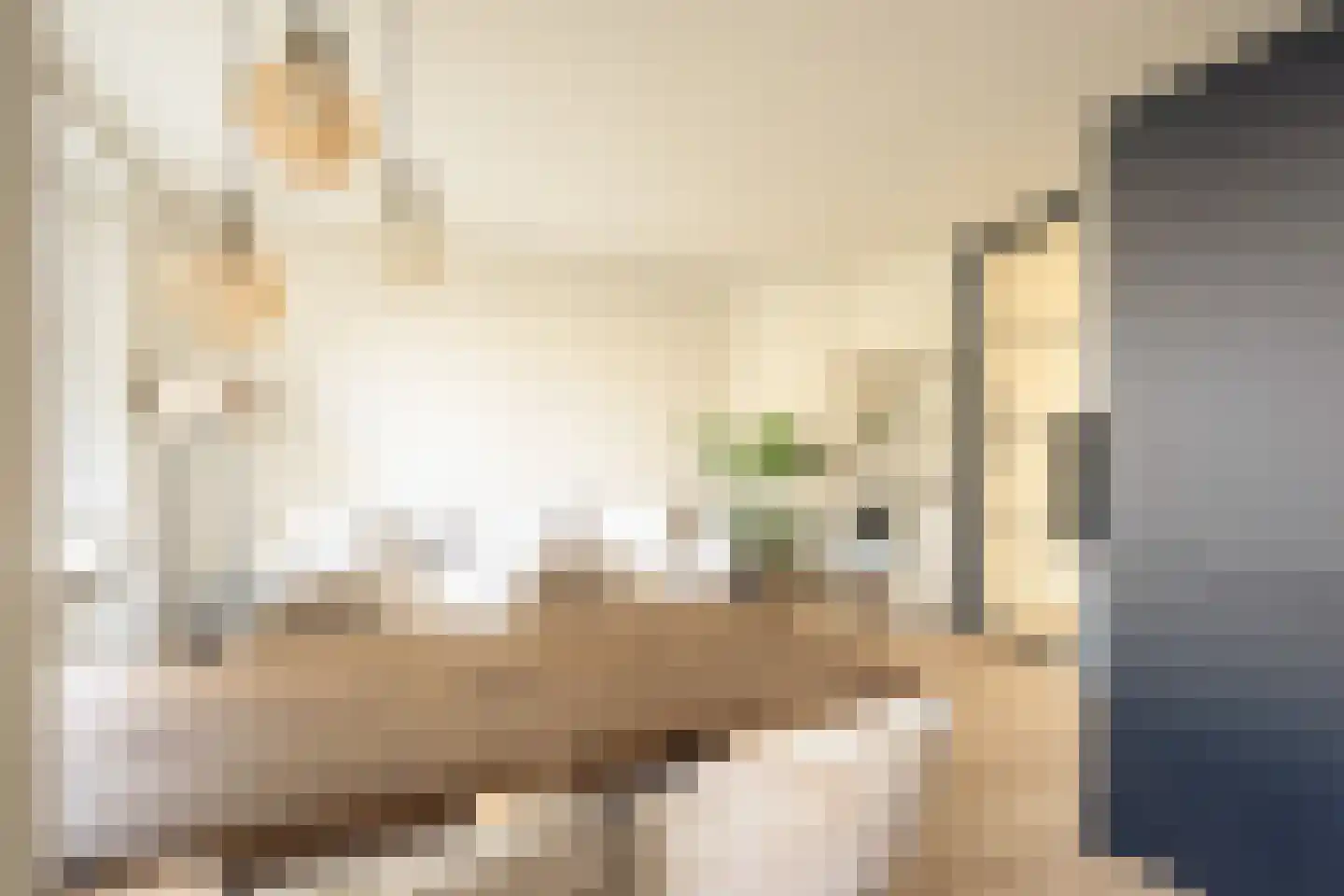 Geuzenstraat 42 3 Amsterdam thumbnail 17