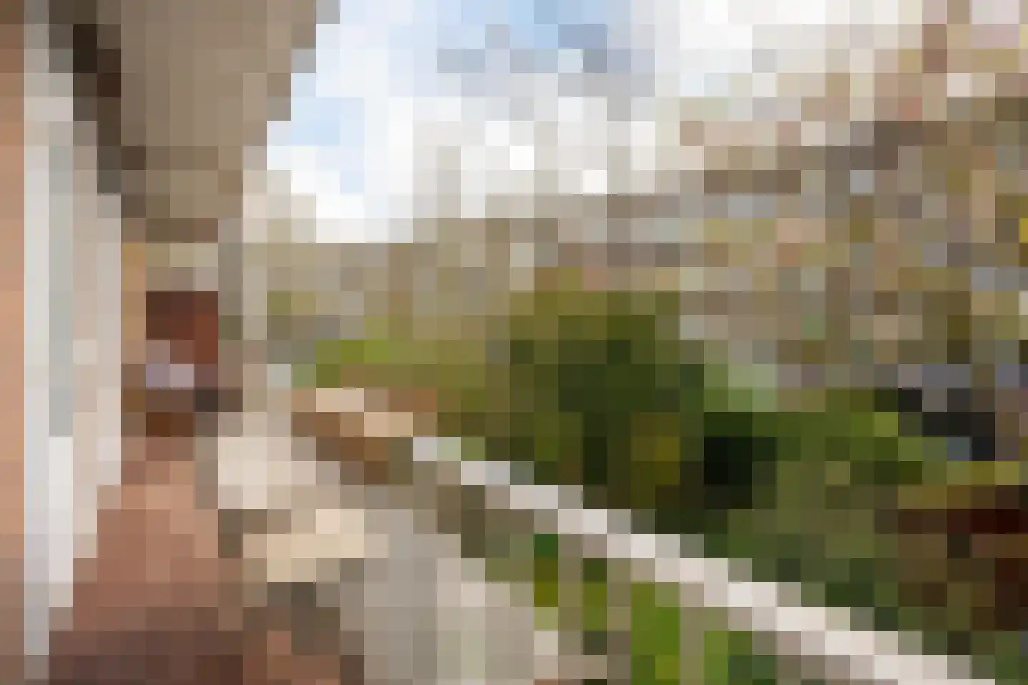 Geuzenstraat 42 3 Amsterdam thumbnail 27