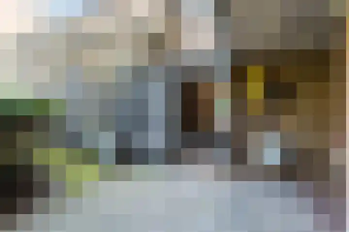 Geuzenstraat 45 1 Amsterdam thumbnail 27