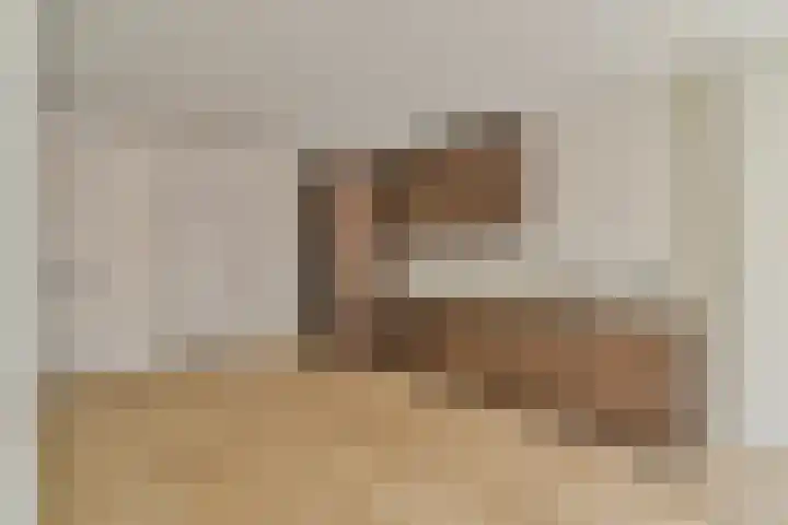 Geuzenstraat 48 1 Amsterdam thumbnail 10