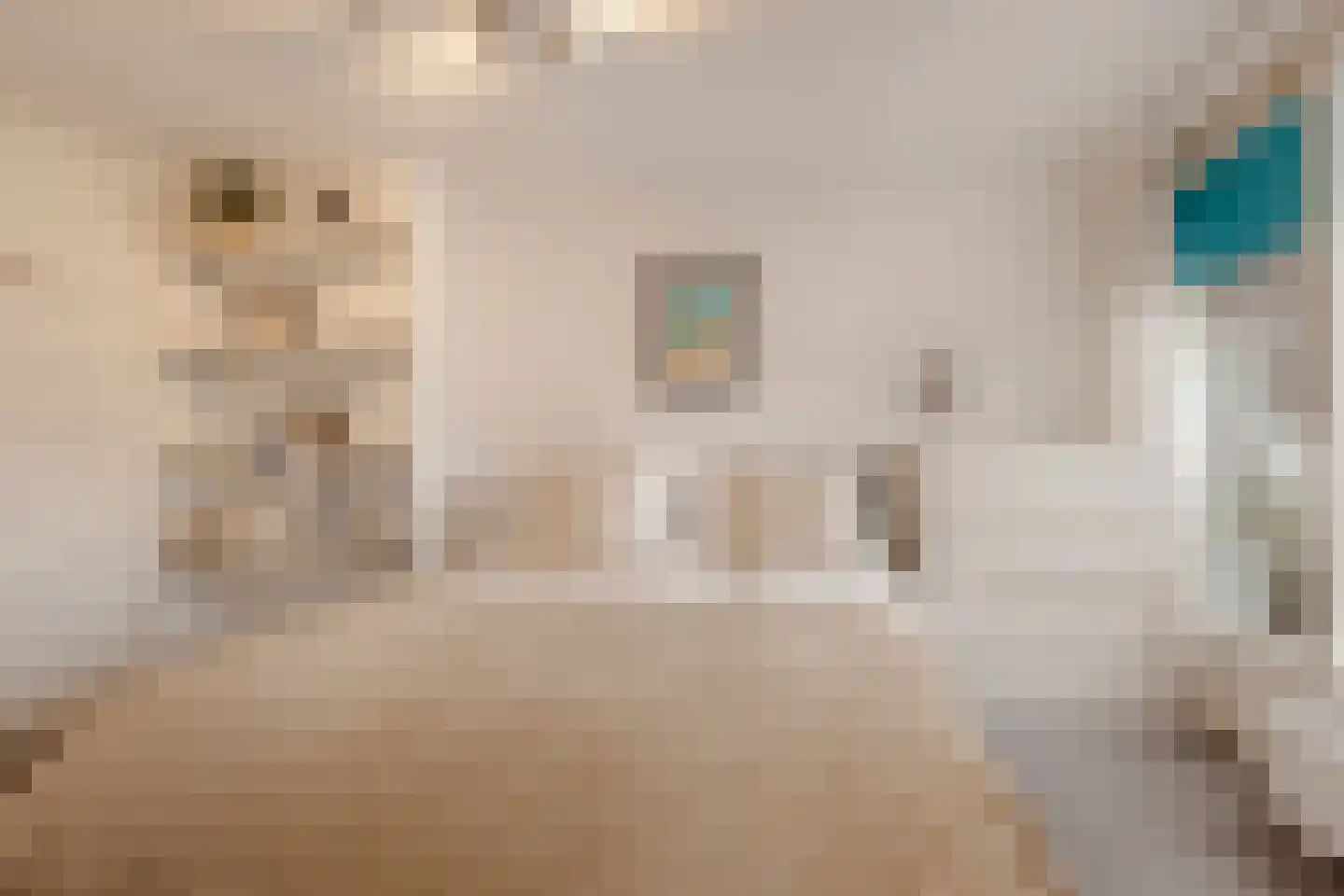 Geuzenstraat 48 2 Amsterdam thumbnail 20