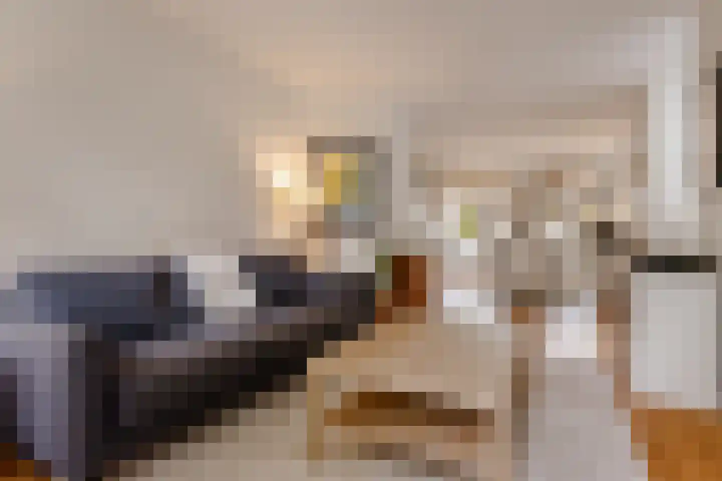Geuzenstraat 48 2 Amsterdam thumbnail 4