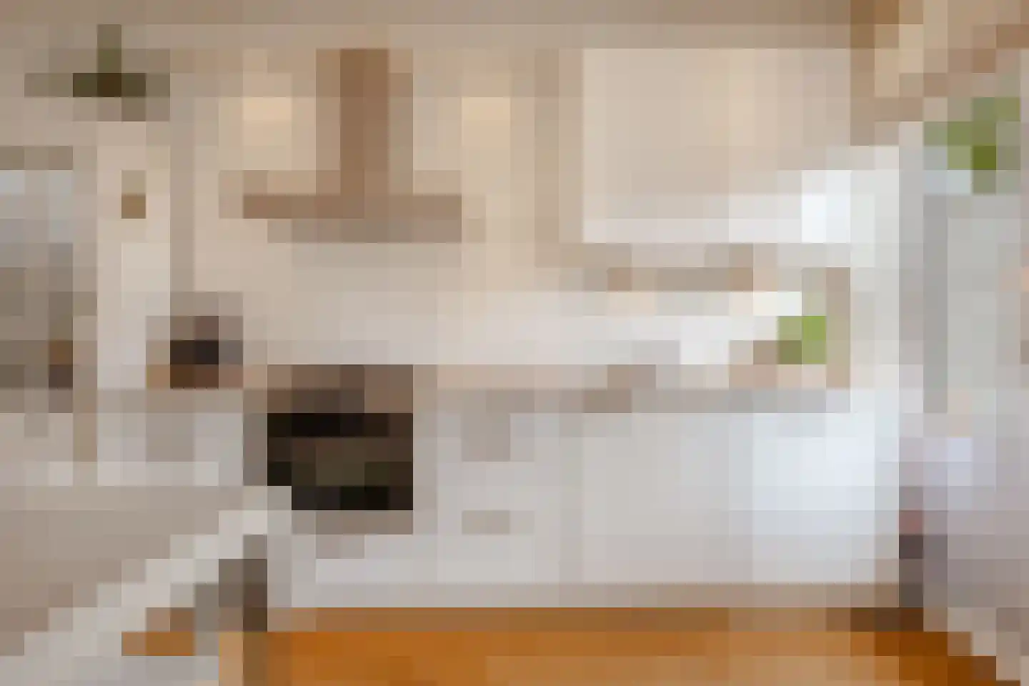 Geuzenstraat 48 2 Amsterdam thumbnail 6