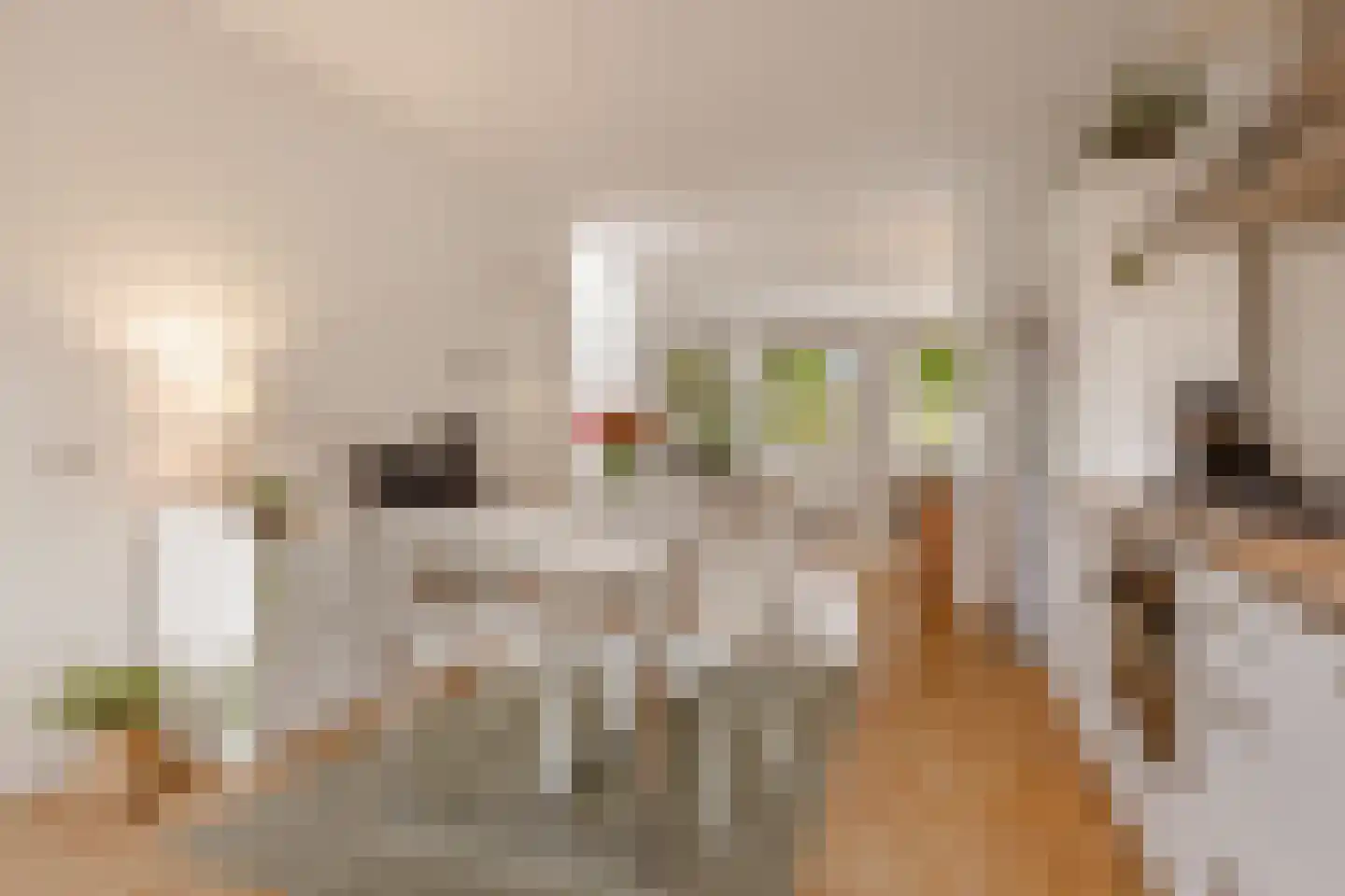 Geuzenstraat 48 2 Amsterdam thumbnail 8