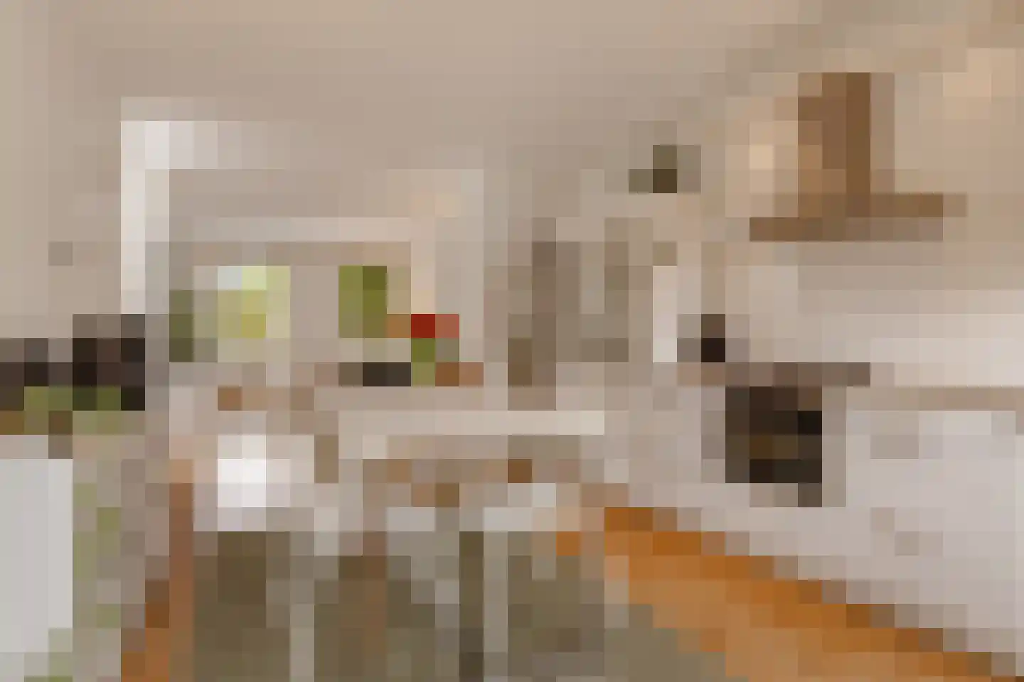Geuzenstraat 48 2 Amsterdam thumbnail 9