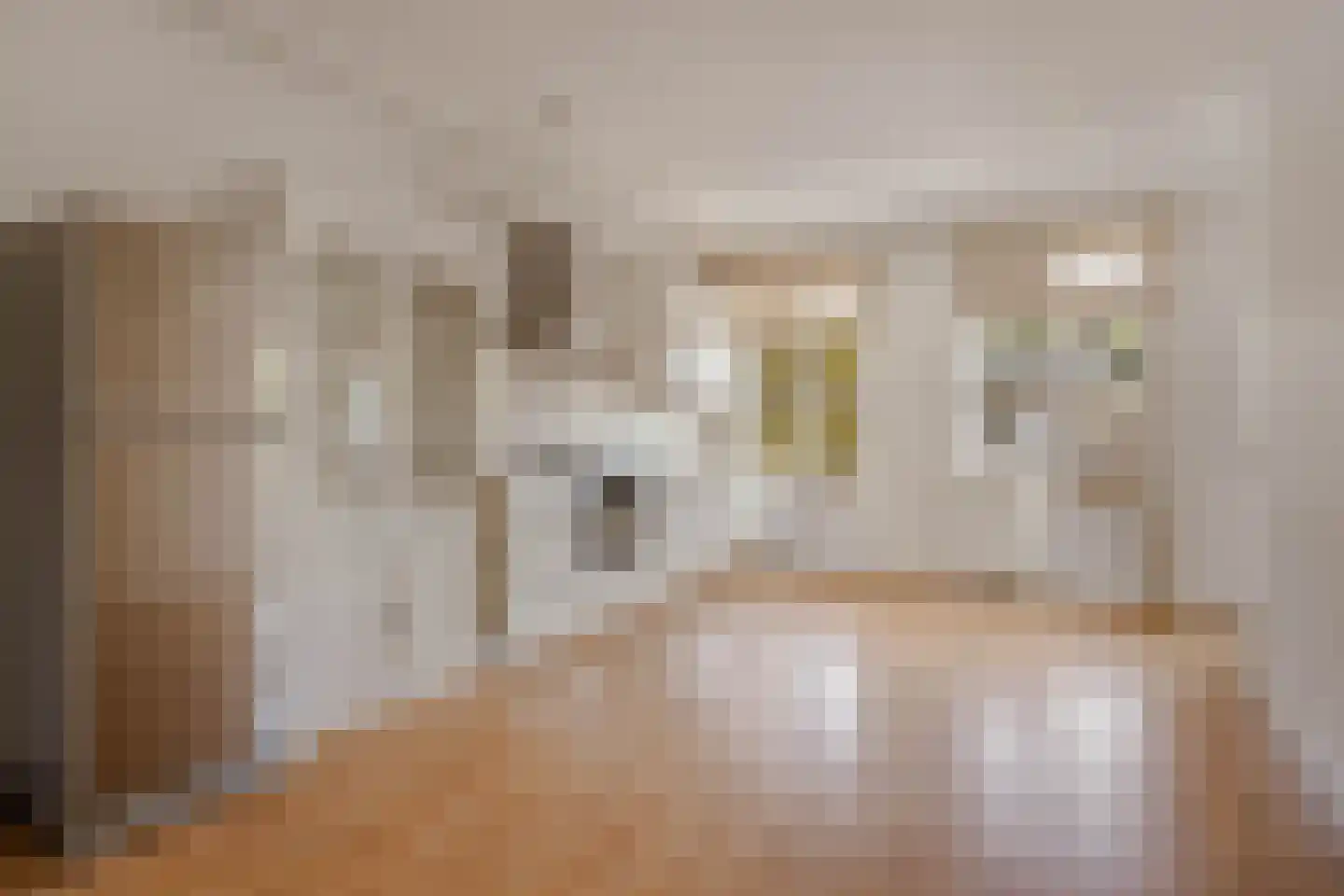 Geuzenstraat 48 3 Amsterdam thumbnail 11