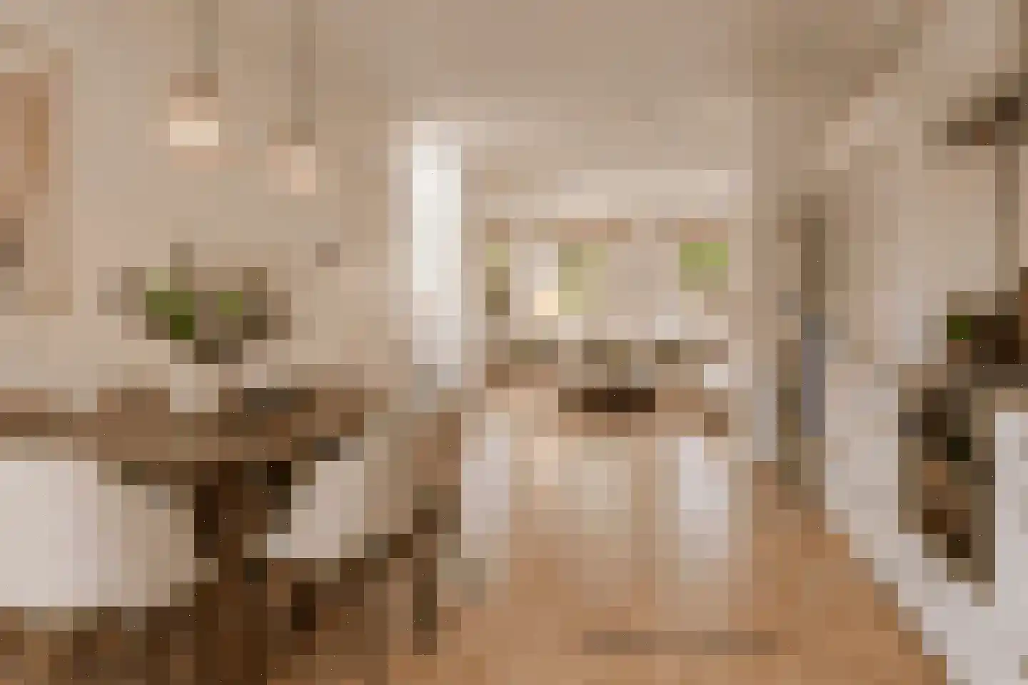Geuzenstraat 48 3 Amsterdam thumbnail 4