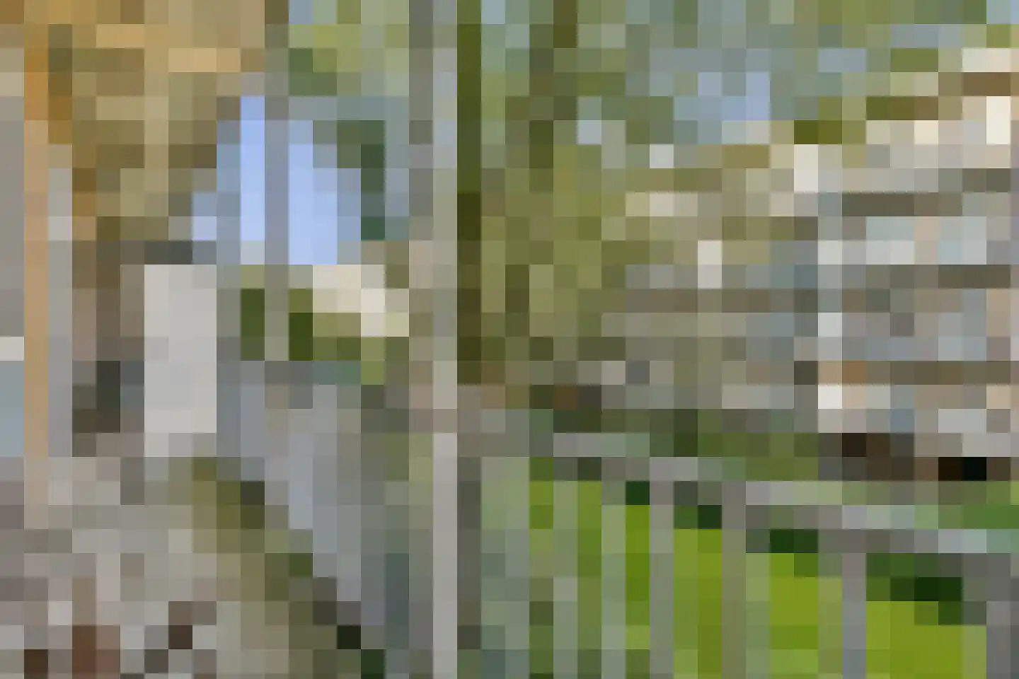 Geuzenstraat 51 2 Amsterdam thumbnail 10