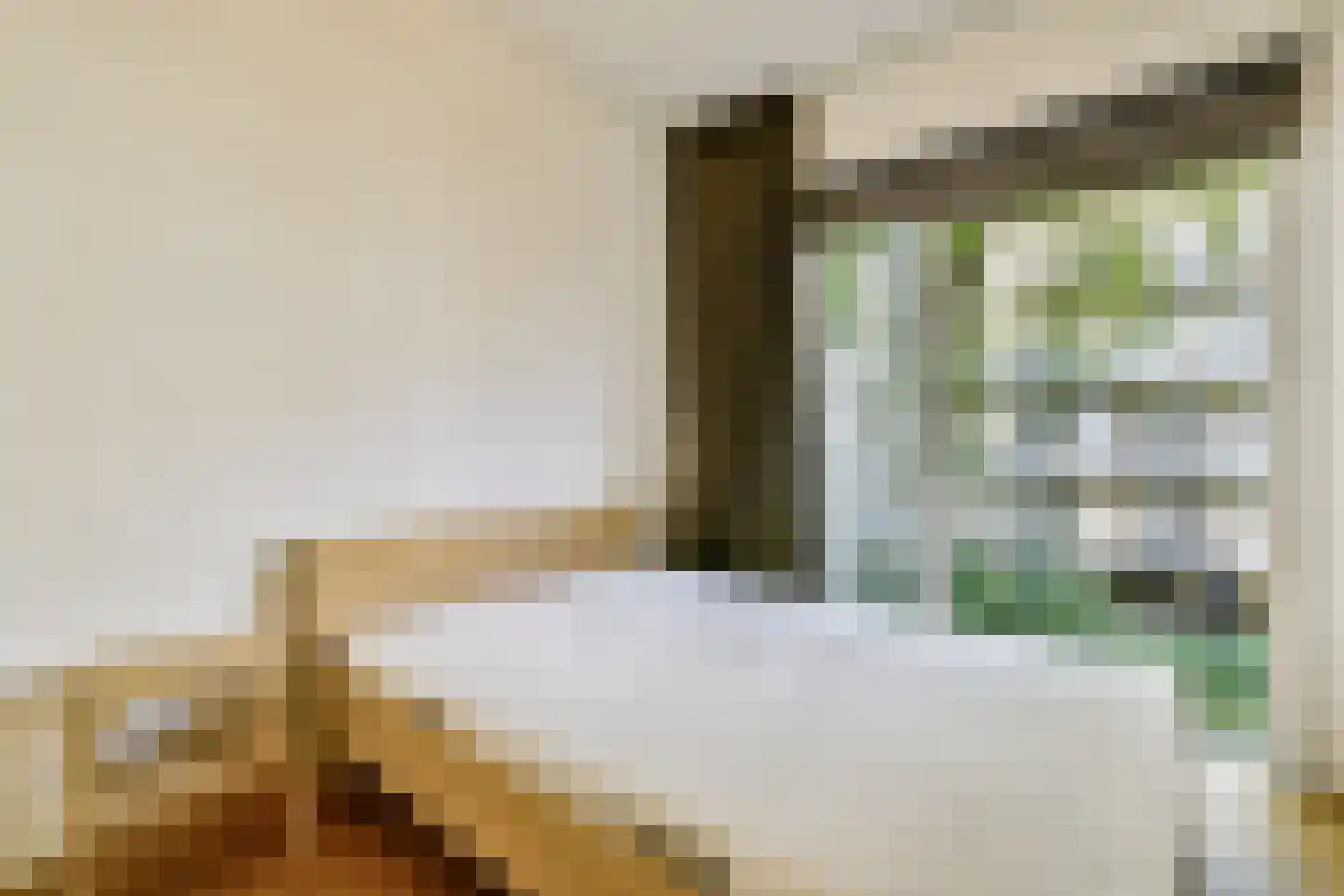 Geuzenstraat 51 2 Amsterdam thumbnail 12
