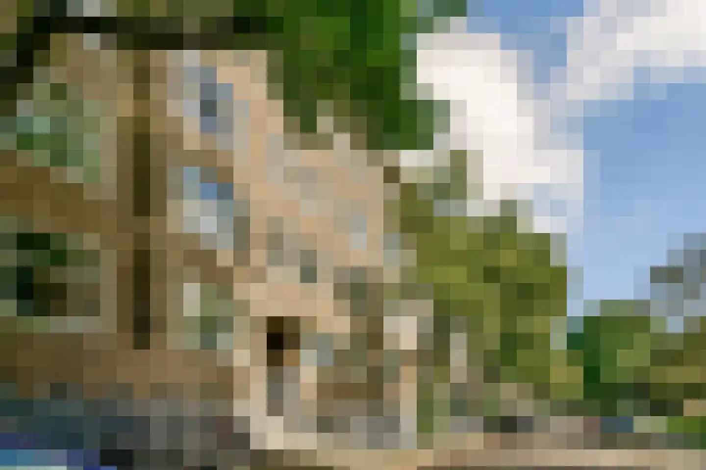 Geuzenstraat 51 2 Amsterdam thumbnail 20